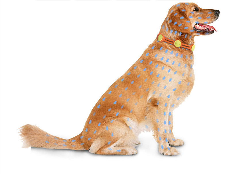 Insect Repellent Collar for Cats & Dogs