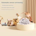 Electric Mouse Cat Toy