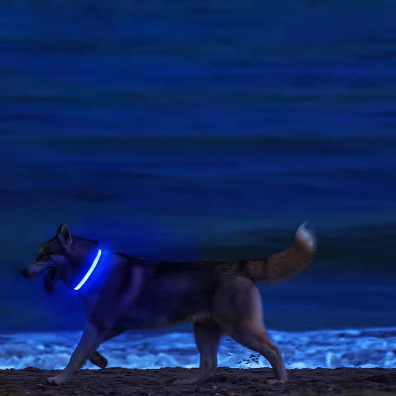 BOOTEELY Nylon LED Night Safety Flashing Glow In The Dark Dog Leash Dogs Luminous Fluorescent Pet Dog Collar