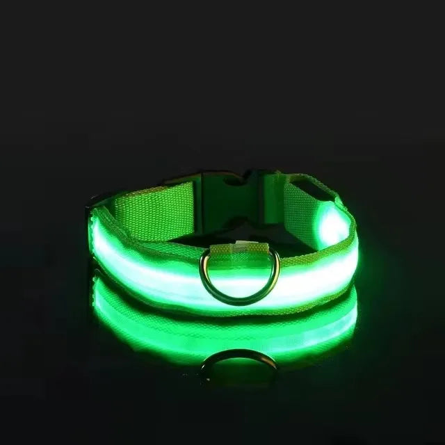 BOOTEELY Nylon LED Night Safety Flashing Glow In The Dark Dog Leash Dogs Luminous Fluorescent Pet Dog Collar