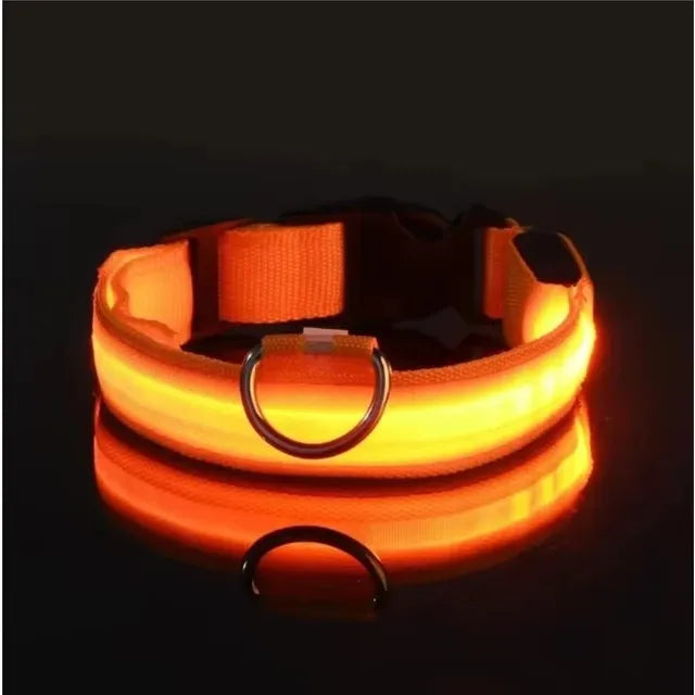 BOOTEELY Nylon LED Night Safety Flashing Glow In The Dark Dog Leash Dogs Luminous Fluorescent Pet Dog Collar
