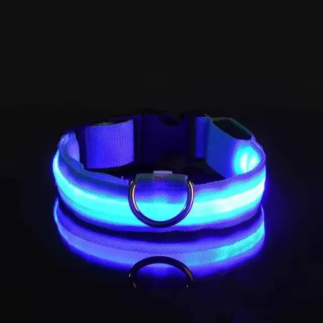 BOOTEELY Nylon LED Night Safety Flashing Glow In The Dark Dog Leash Dogs Luminous Fluorescent Pet Dog Collar