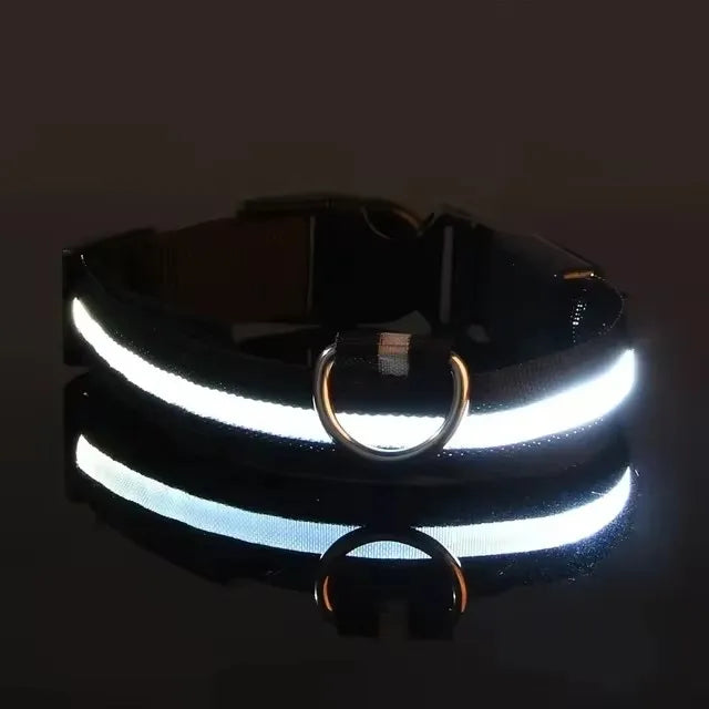 BOOTEELY Nylon LED Night Safety Flashing Glow In The Dark Dog Leash Dogs Luminous Fluorescent Pet Dog Collar