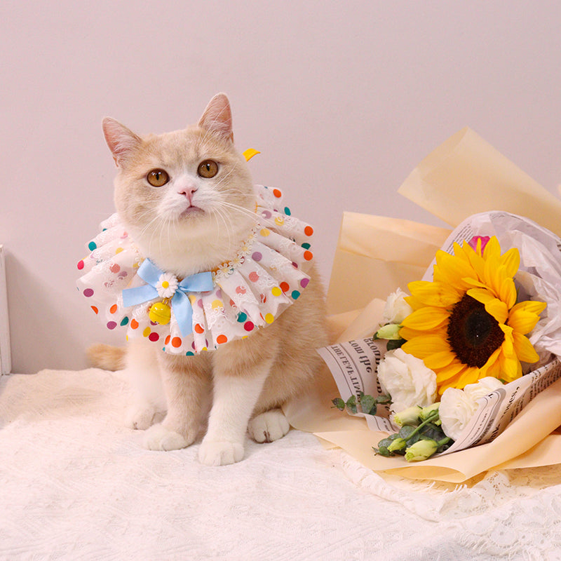 Cute Scarf for Pets