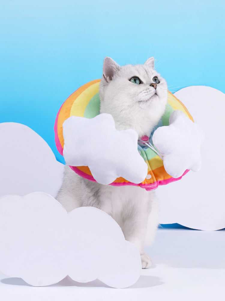 Fashion Rainbow Pet Anti-Lick Collar Head Cover